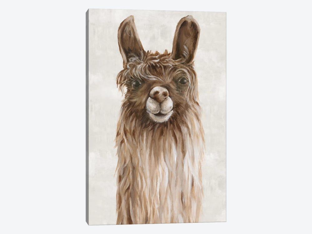 Suri Alpaca I  by Eva Watts 1-piece Art Print