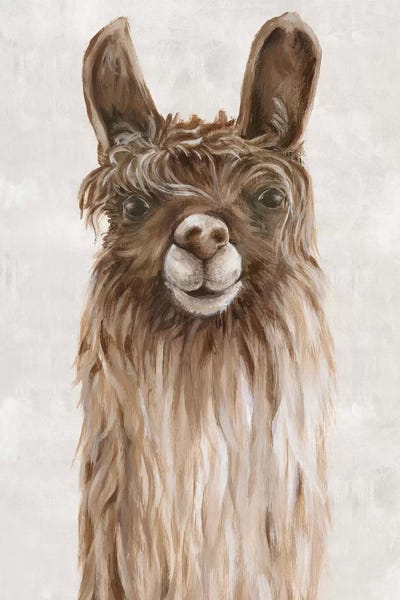 Llamas & Alpacas: Suri Alpaca I  by Eva Watts