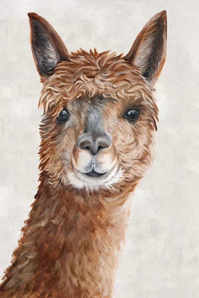 Suri Alpaca II  by Eva Watts framed wall art