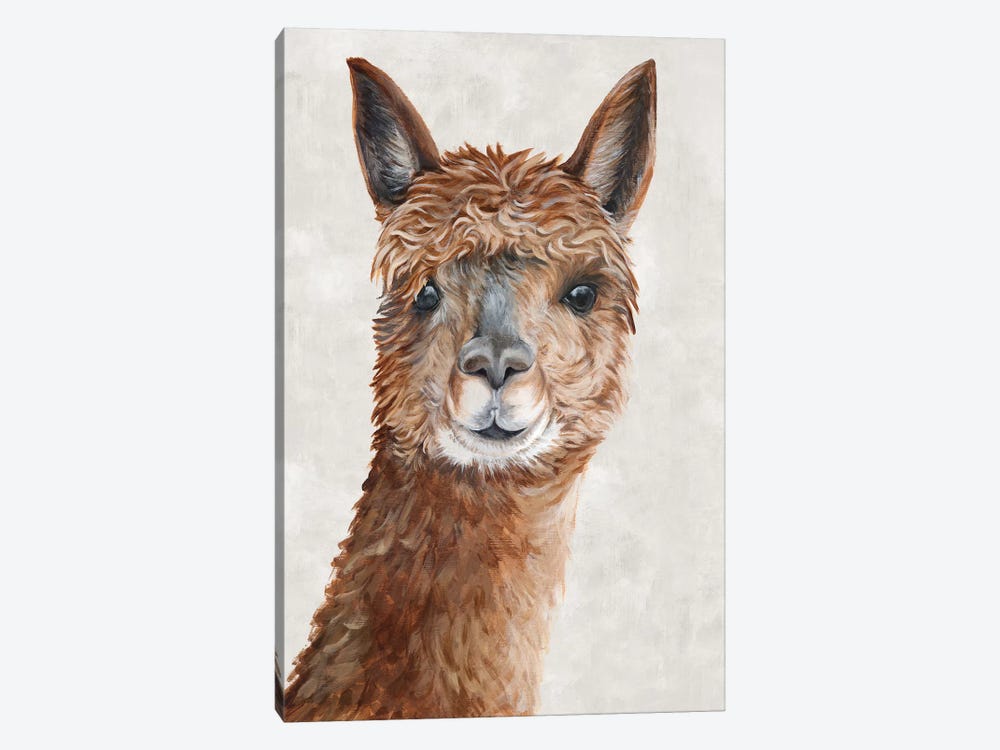 Suri Alpaca II  by Eva Watts 1-piece Canvas Art