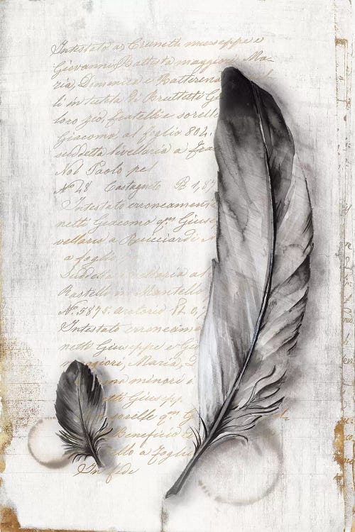 Vintage Feathers II 