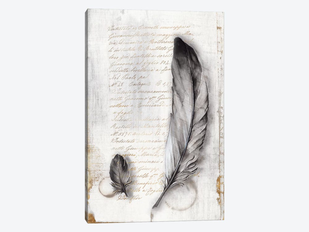 Vintage Feathers II  by Eva Watts 1-piece Canvas Print