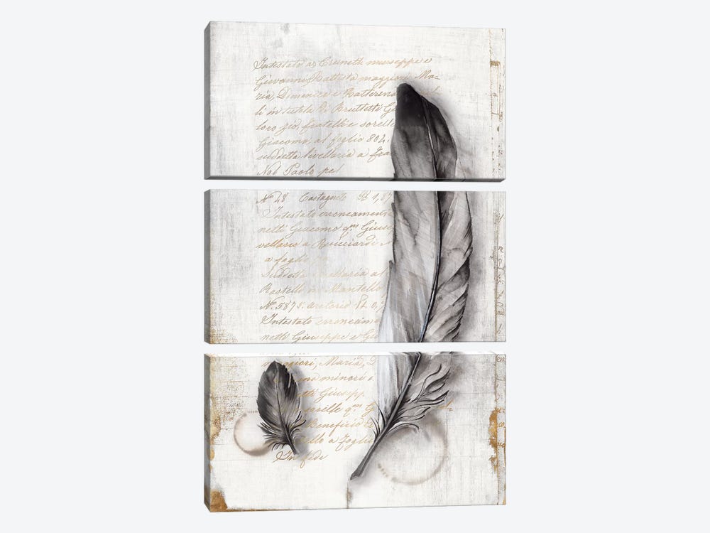 Vintage Feathers II  by Eva Watts 3-piece Art Print