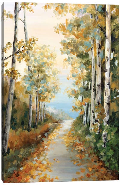 Path in the Forest  Canvas Art Print - Trail, Path & Road Art