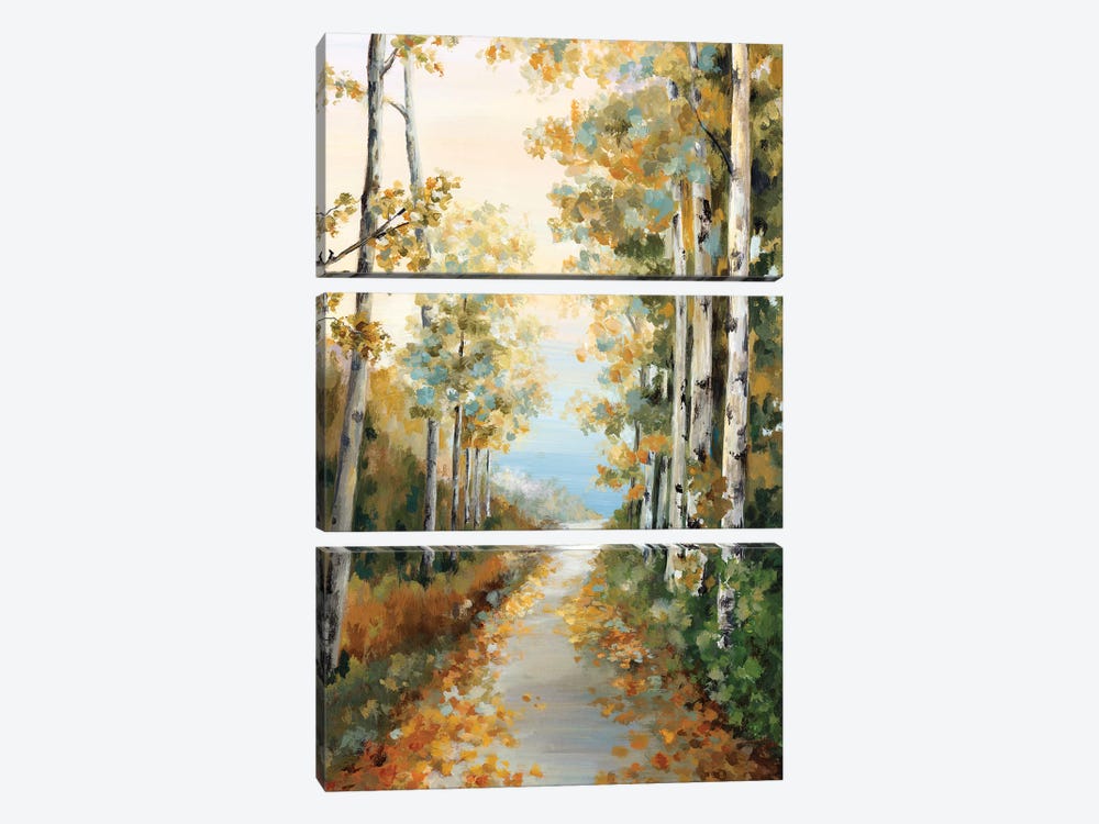 Path in the Forest  by Eva Watts 3-piece Art Print