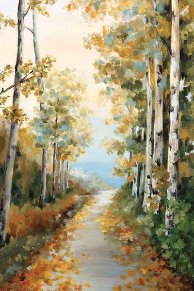 Eva Watts: Path in the Forest  by Eva Watts