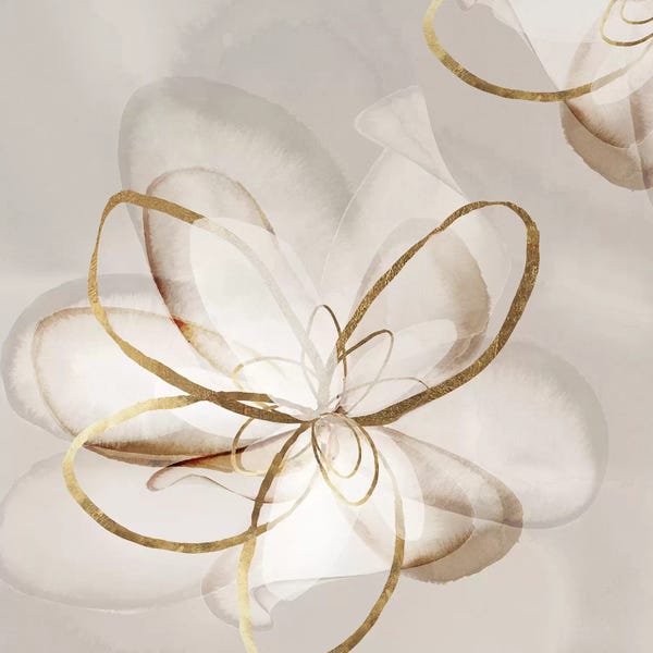 Refreshing Workspace: Transparent Beauty II  by Eva Watts