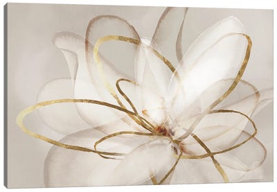 Transparent Beauty III  Canvas Art Print - Flower Art