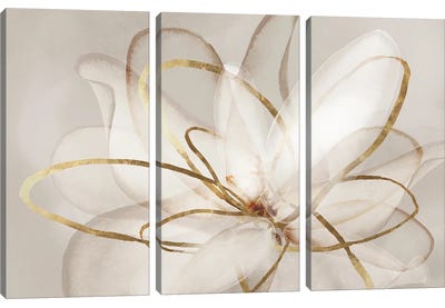 Transparent Beauty III  Canvas Art Print - 3-Piece Floral & Botanical Art