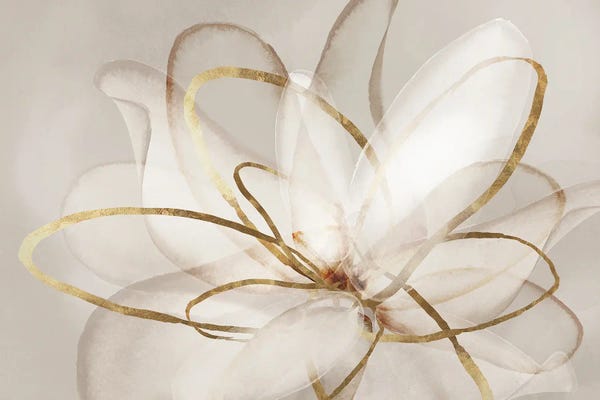 Large Wall Art & Big Canvas Prints: Transparent Beauty III  by Eva Watts