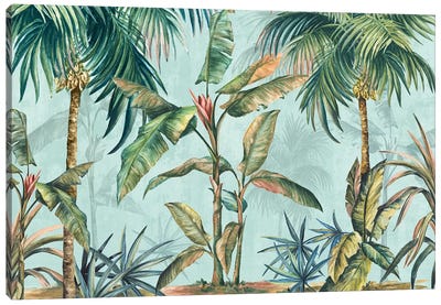 Lushed Palms  Canvas Art Print - Tropical Décor