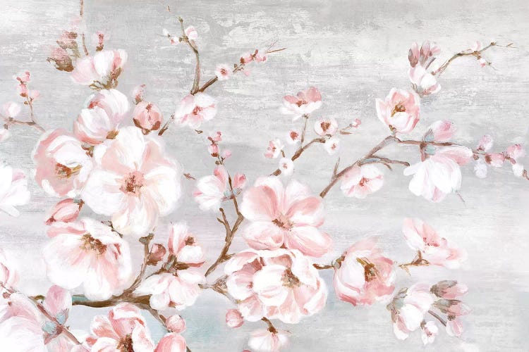 Spring Cherry Blossoms I  by Eva Watts wall art