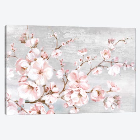 Spring Cherry Blossoms I  Canvas Print #EWA201} by Eva Watts Canvas Print