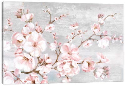 Spring Cherry Blossoms I  Canvas Art Print - Best Selling Floral Art