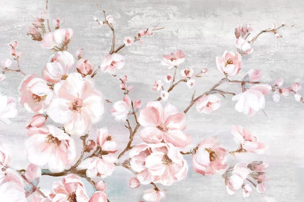 Eva Watts: Spring Cherry Blossoms I  by Eva Watts