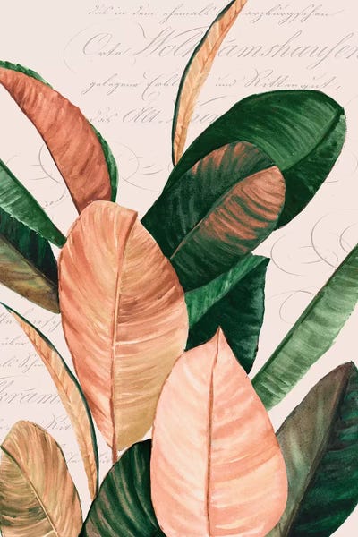 Thine II   by Eva Watts canvas print