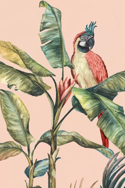 Parrots: Tropicano II  by Eva Watts