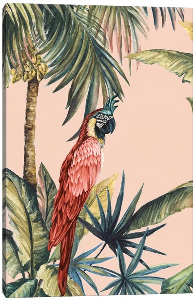 Tropicano III Canvas Art Print - Parrot Art