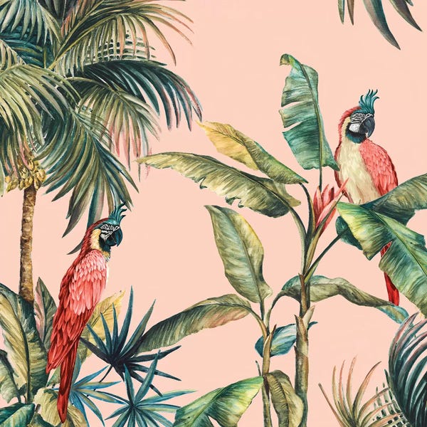 Parrots: Tropicano IV by Eva Watts