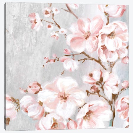 Spring Cherry Blossoms II  Canvas Print #EWA222} by Eva Watts Art Print
