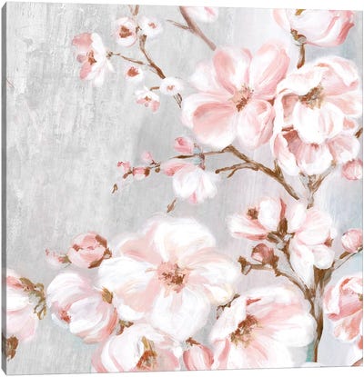 Spring Cherry Blossoms II  Canvas Art Print