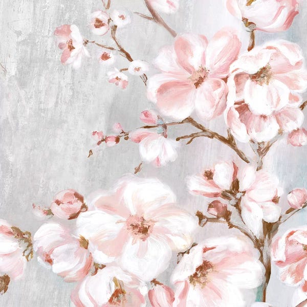 Granny Chic: Spring Cherry Blossoms II  by Eva Watts