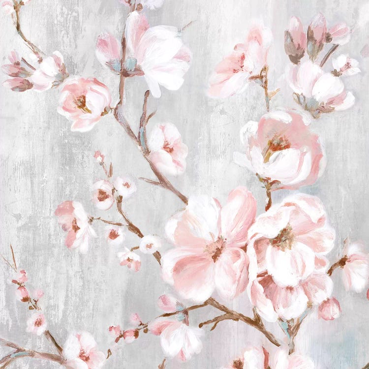 Spring Cherry Blossoms III  by Eva Watts wall art