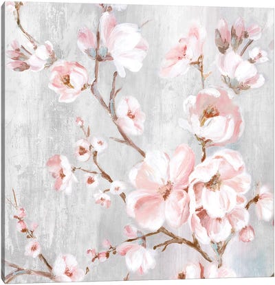 Spring Cherry Blossoms III  Canvas Art Print - Blossom Art
