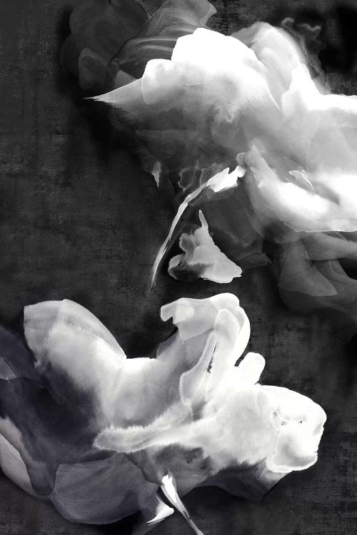 Dark Beauty I  by Eva Watts wall art