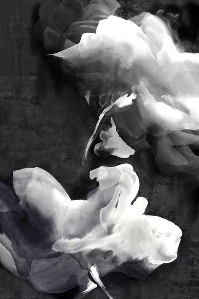 Black & White Florals: Dark Beauty I  by Eva Watts