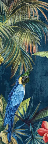 Parrots: Tropicano II  by Eva Watts