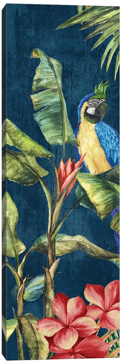 Tropicano II  Canvas Art Print - Parrot Art