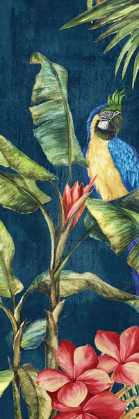 Parrots: Tropicano II  by Eva Watts