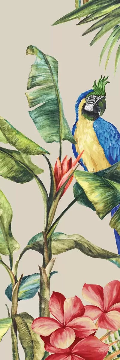 Tropicano II  by Eva Watts canvas print