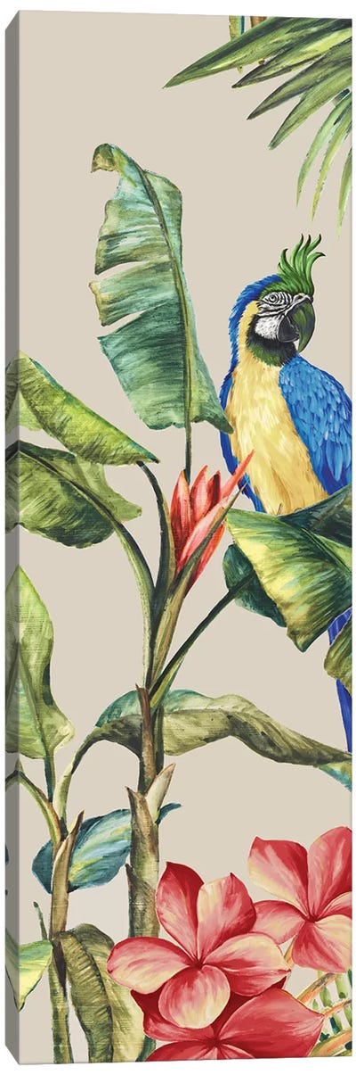 Tropicano II  Canvas Art Print - Parrot Art