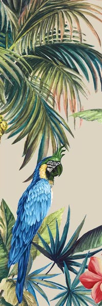 Parrots: Tropicano II  by Eva Watts