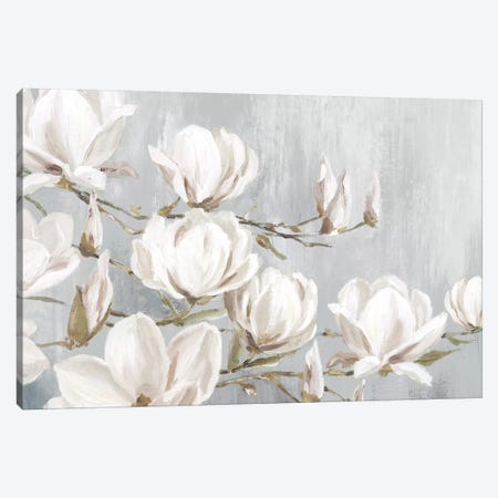White Magnolia Canvas Print #EWA305} by Eva Watts Art Print