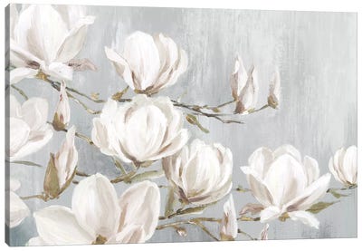 White Magnolia Canvas Art Print - Kitchen Art