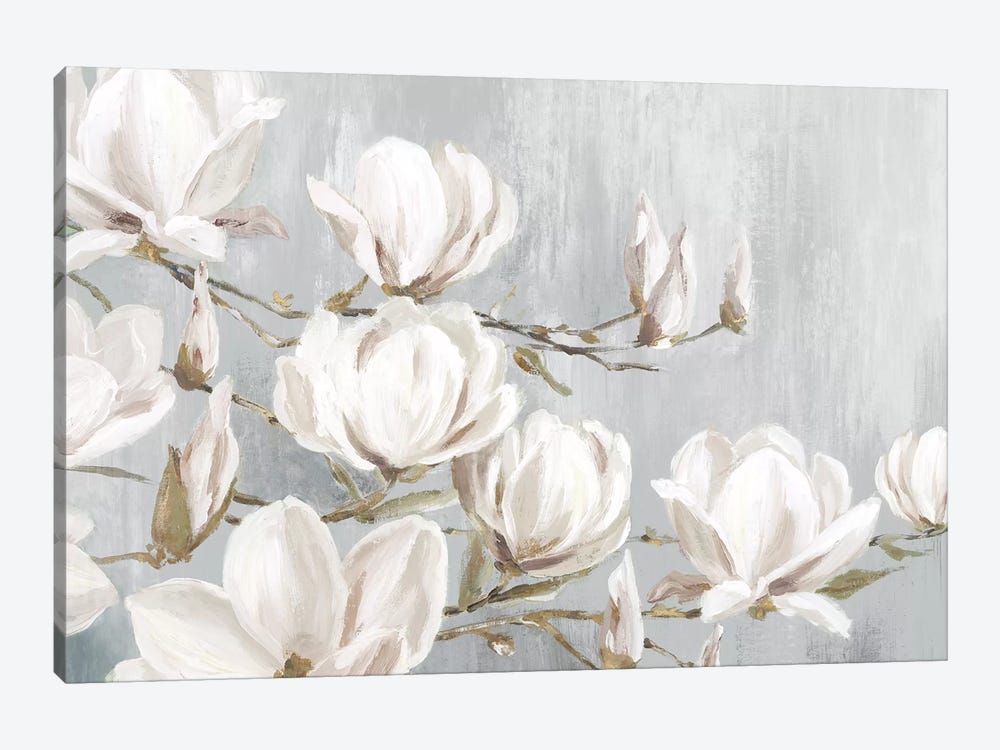 White Magnolia by Eva Watts 1-piece Canvas Wall Art