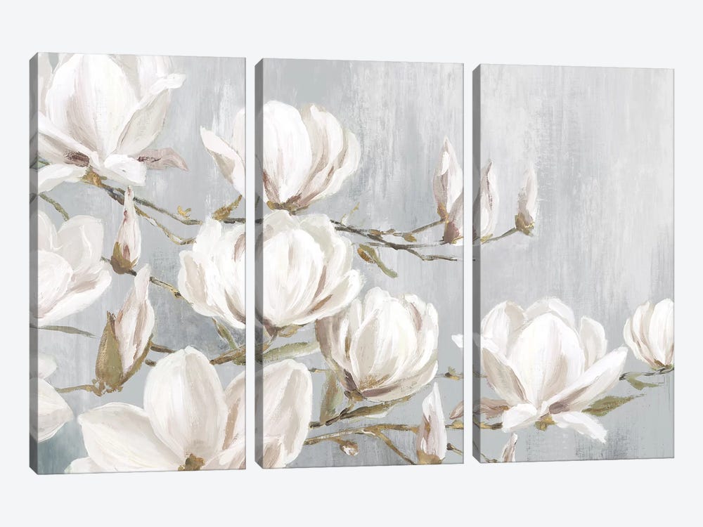 White Magnolia by Eva Watts 3-piece Canvas Artwork