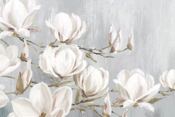 Granny Chic: White Magnolia by Eva Watts