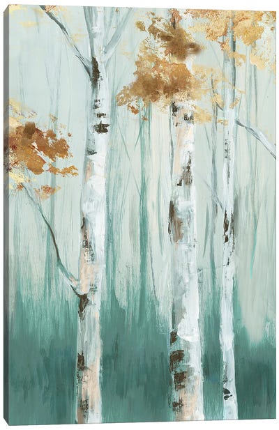 Birch Ale II Canvas Art Print - Birch Tree Art