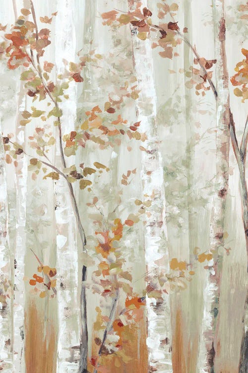 Birch Wood I by Eva Watts wall art