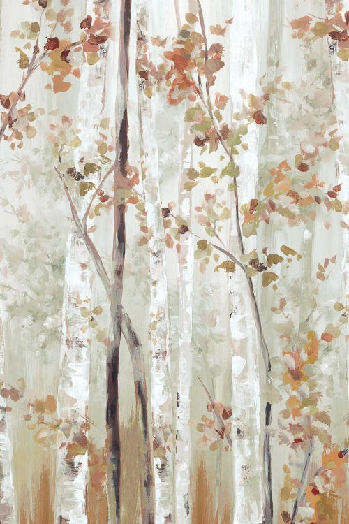 Birch Wood II by Eva Watts wall art