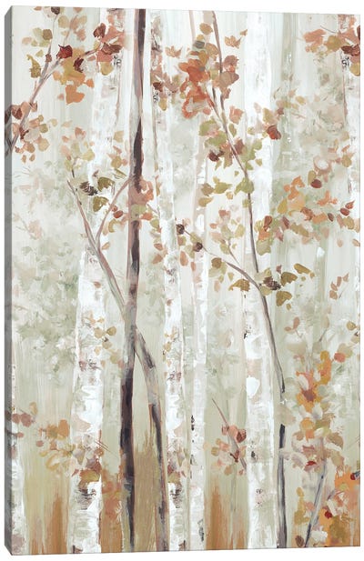 Birch Wood II Canvas Art Print - Birch Tree Art