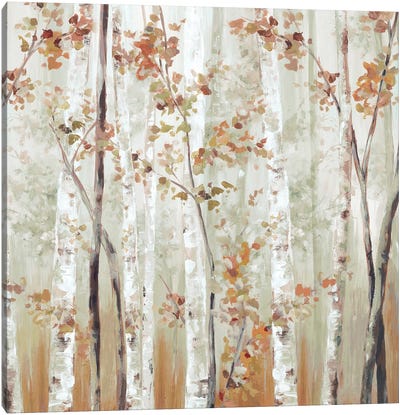 Birch Wood III Canvas Art Print - Eva Watts