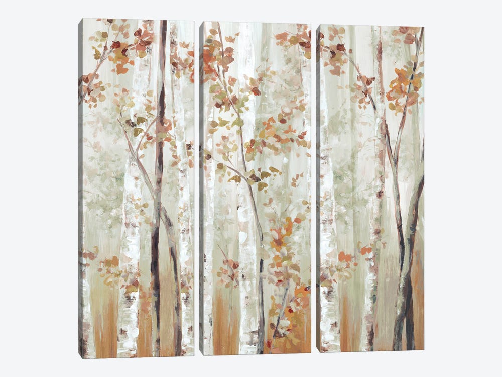 Birch Wood III by Eva Watts 3-piece Art Print