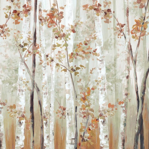 Birch Trees: Birch Wood III by Eva Watts