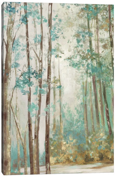 Deep Forest Canvas Art Print - Eva Watts