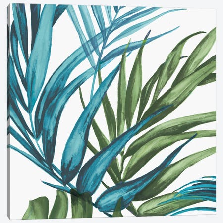 Palm Leaves II Canvas Print #EWA38} by Eva Watts Art Print